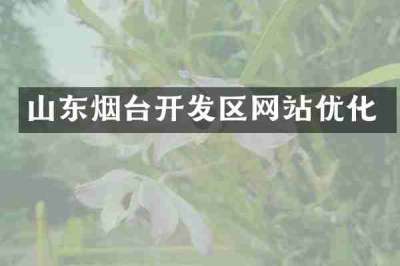 山东烟台开发区网站优化