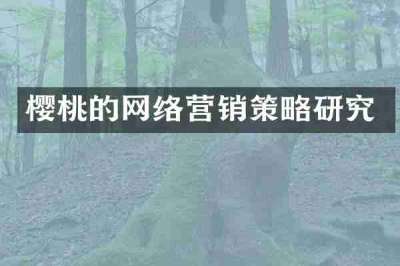 樱桃的网络营销策略研究