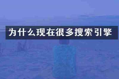 为什么现在很多搜索引擎