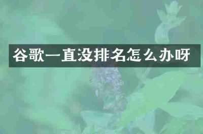 谷歌一直没排名怎么办呀