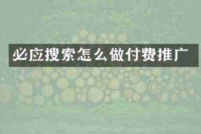 必应搜索怎么做付费推广