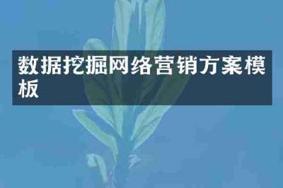 数据挖掘网络营销方案模板