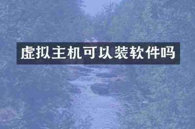 虚拟主机可以装软件吗