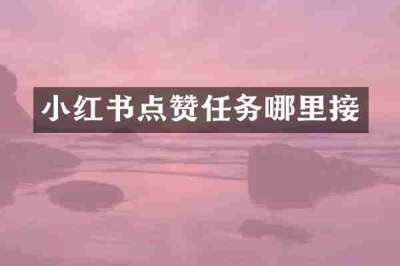 小红书点赞任务哪里接
