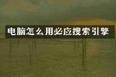 电脑怎么用必应搜索引擎