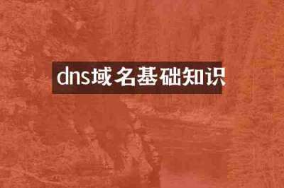 dns域名基础知识