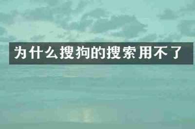 为什么搜狗的搜索用不了