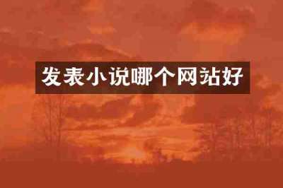 发表小说哪个网站好