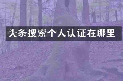 头条搜索个人认证在哪里