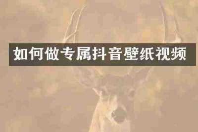 如何做专属抖音壁纸视频