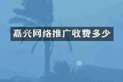 嘉兴网络推广收费多少