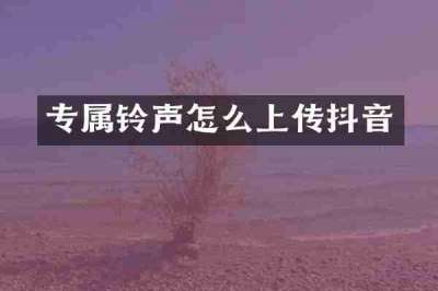 专属铃声怎么上传抖音