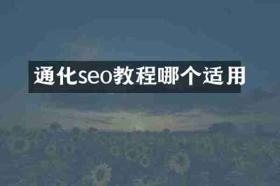 通化seo教程哪个适用