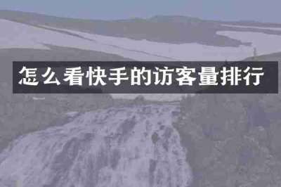 怎么看快手的访客量排行