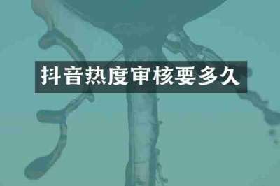 抖音热度审核要多久