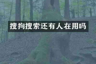 搜狗搜索还有人在用吗