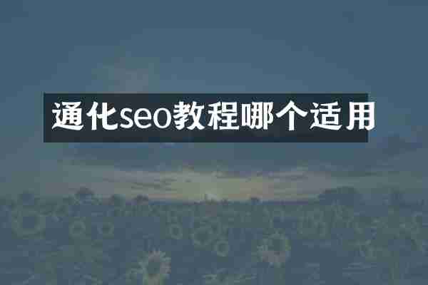 通化seo教程哪个适用