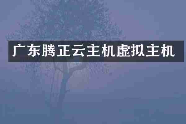 广东腾正云主机虚拟主机