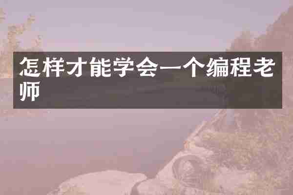 怎样才能学会一个编程老师
