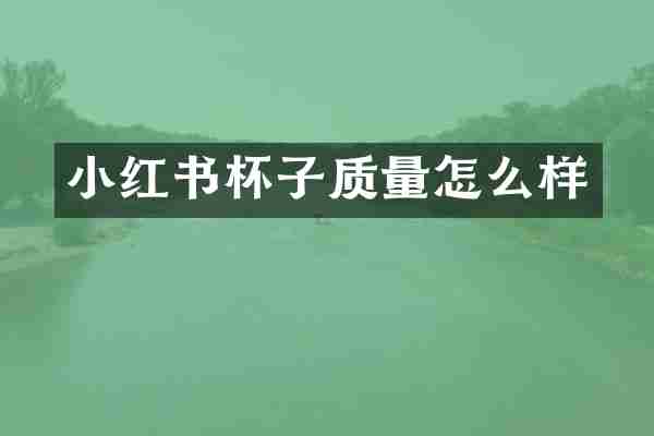 小红书杯子质量怎么样