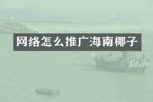 网络怎么推广海南椰子