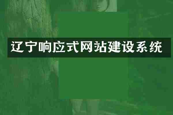 辽宁响应式网站建设系统