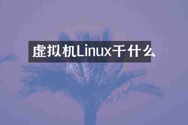 虚拟机Linux干什么