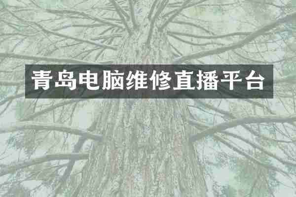 青岛电脑维修直播平台
