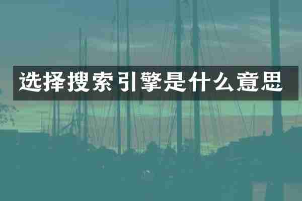 选择搜索引擎是什么意思