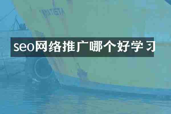 seo网络推广哪个好学习