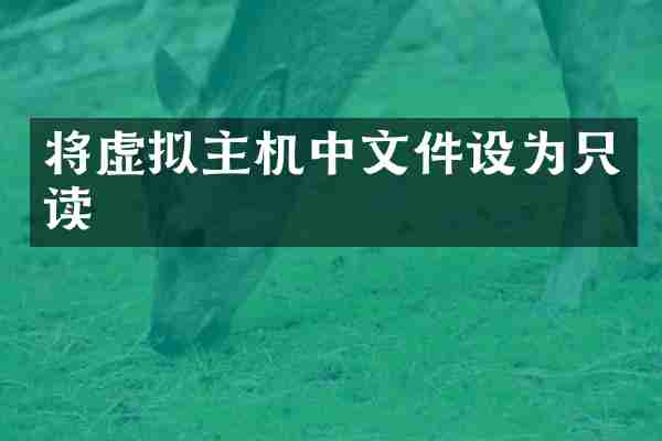 将虚拟主机中文件设为只读