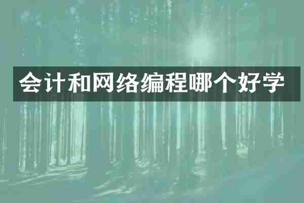 会计和网络编程哪个好学