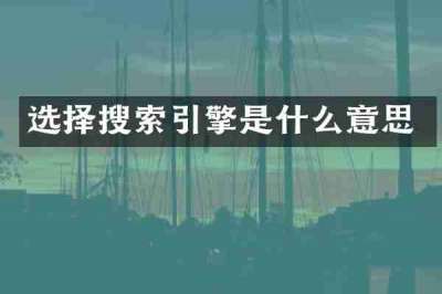 选择搜索引擎是什么意思