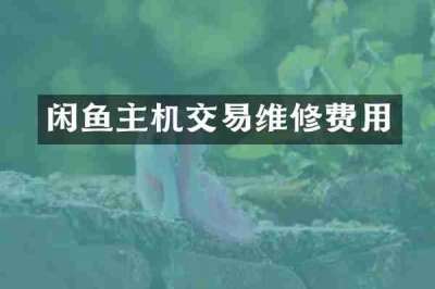 闲鱼主机交易维修费用