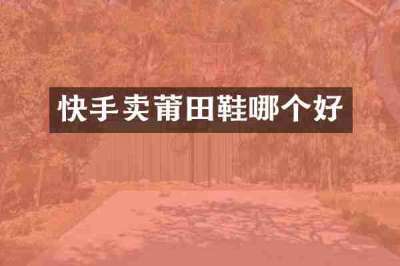 快手卖莆田鞋哪个好