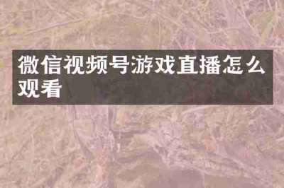 微信视频号游戏直播怎么观看