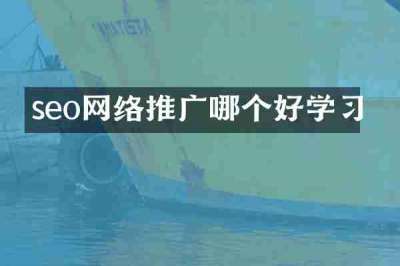 seo网络推广哪个好学习