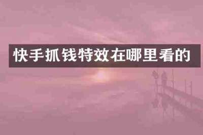 快手抓钱特效在哪里看的