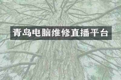 青岛电脑维修直播平台