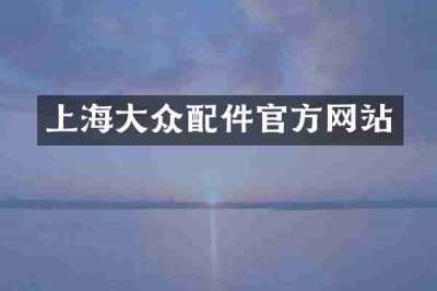 上海大众配件官方网站