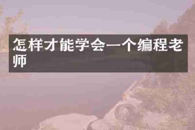 怎样才能学会一个编程老师