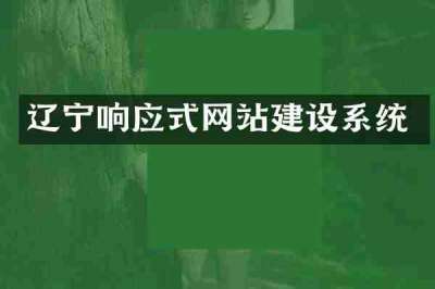 辽宁响应式网站建设系统