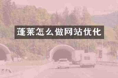 蓬莱怎么做网站优化