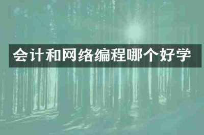 会计和网络编程哪个好学