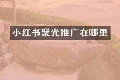 小红书聚光推广在哪里