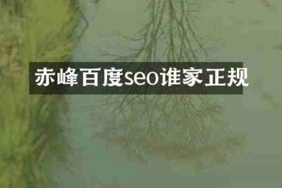 赤峰百度seo谁家正规