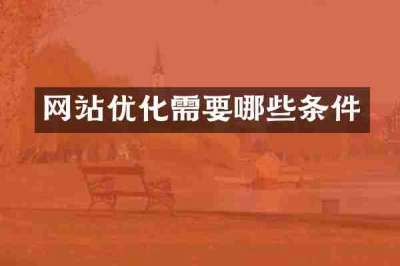 网站优化需要哪些条件