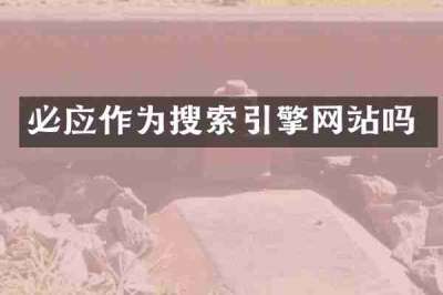 必应作为搜索引擎网站吗