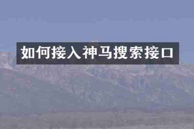 如何接入神马搜索接口