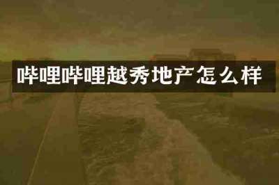 哔哩哔哩越秀地产怎么样